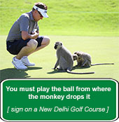 Man bent down on golf course looking at monkeys (Text: You must play the ball from where the monkey drops it - sign on New Delhi golf course)